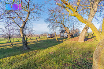 Prodej zahrady, 1058 m², Horní Moštěnice - 7