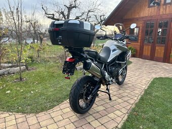 Triumph Tiger Rally 900Pro - 7