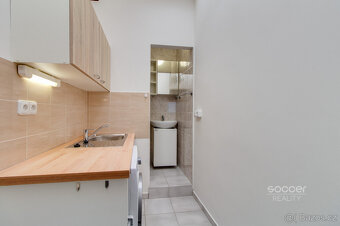 Pronájem bytu 1+1, 32 m² + terasa 15 m² + sklep 6 m², Praha - 7