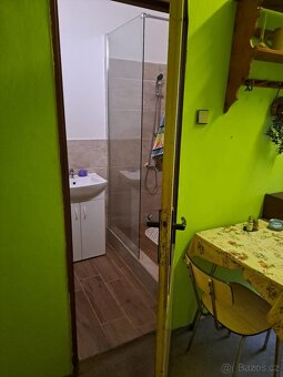 Prodej bytu 4+1 + půdní pokoj - 7