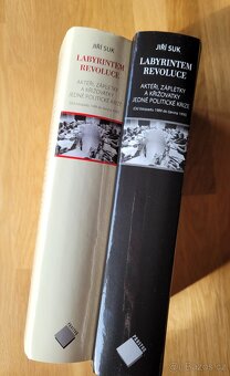 Suk, J.: Labyrintem revoluce, vydal Prostor 2009 - 7