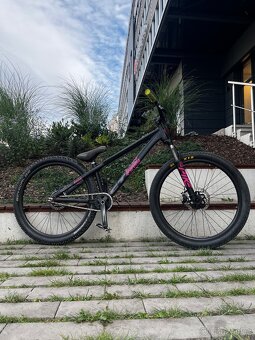 CTM DIRTKING 2020 - 7
