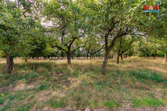 Prodej pozemku k bydlení, 1626 m², Kbelany - 7