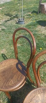 Thonet párové židle solidní stav doporučuji - 7