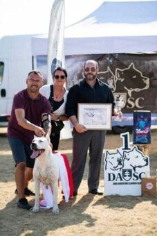ARGENTÍNSKA DOGA ( Dogo Argentino ) - 7