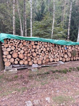 Palivové dřevo "suché" - 7