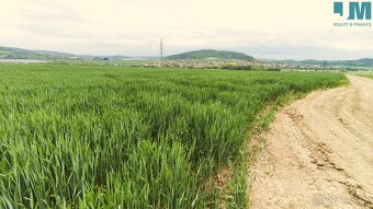 Prodej orné půdy 23 999 m2, Sentice – výjimečná bonitní půda - 7