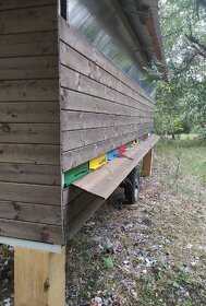 Včelín - 7