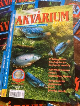 Akvárium živě - 7