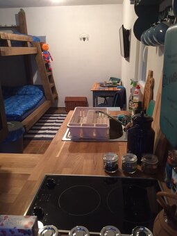 Chata u řeky Sázavy - Vlastějovice - 7