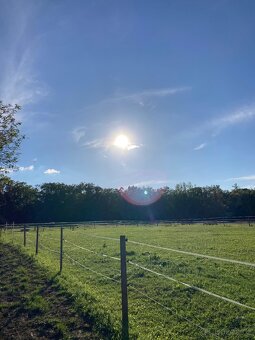 Možnost ustájení - 7