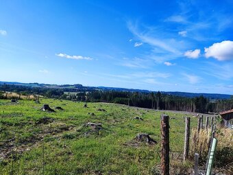 Prodej lesa 233 155 m² Žďár u Nové Včelnice - 7