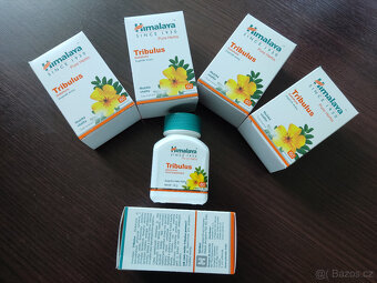5x balení Tribulus 60 kapslí, po min. trvanlivosti - 7
