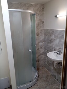 Pronájem bytu 2 kk - 7
