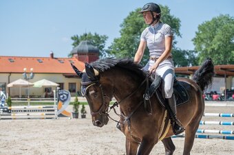 Úžasný valach k rekreaci/ hobby sport - 7