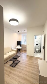 Pronajem bytu 1+kk 18,2 m² Ortenovo náměstí - Holešovice - 7