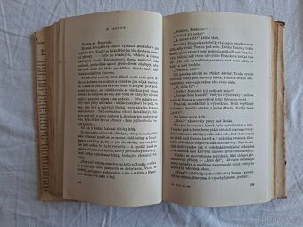 Rok na vsi kronika moravské dědiny - 7