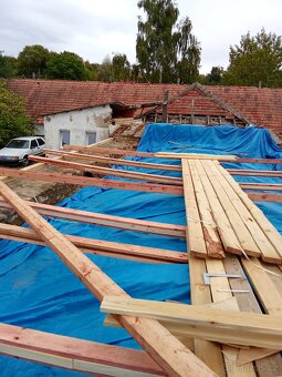 práce brigáda dřevo - 7