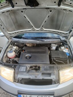 Fabia - 7