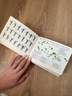 Rozum do kapsy Encyklopedie z roku 1988 - 7