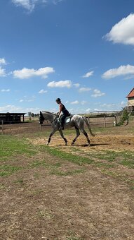 Poloviční pronájem - 7