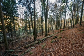 Prodej pozemek Bydlení, 3487㎡ - 7