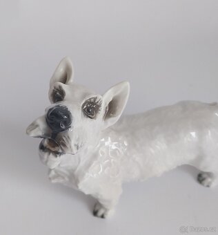Porcelánová figura teriéra - Rosenthal - 7