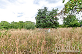 Pozemek  o ploše 3823 m2 - Dolní Beřkovice, Podvlčí - 7