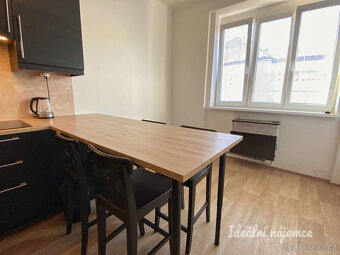 Pronájem bytu 1+1, V Horkách, Nusle, 20.000 Kč/měs, 52 m2 - 7