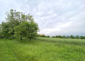 Bezuchov, stavební pozemek 3440m2 - 7
