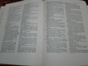J. A. Komenský - 7
