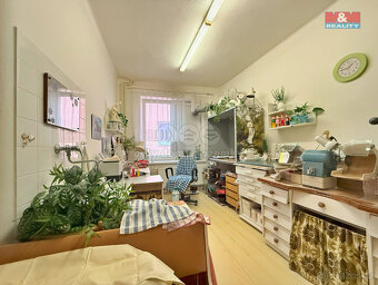 Prodej obchod a služby, 487 m², Čelákovice, ul. Stankovského - 7