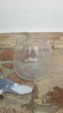 Akvárium, terárium - 7