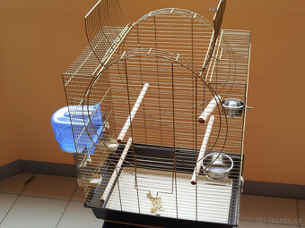 Ptačí klec - po korele - 7