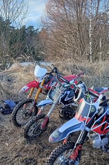 Pitbike 125 Buffler d125y - 7