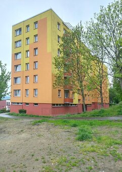 Byt 3+1 s halou a balkonem, ul. Urbinská, Český Krumlov - 7