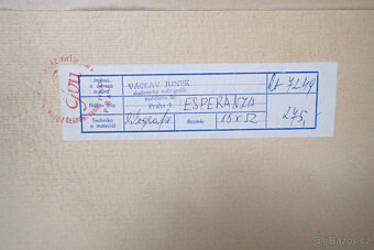 Junek Váslav - Loď Esperanza - 7