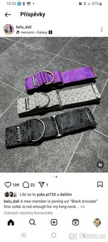 Brokatovy obojek pro chrt greyhound III. - 7