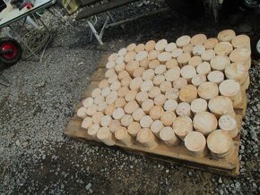 Odkorněný kůl, palisáda, tyč - 7