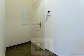 Krásný byt 1+kk v novostavbě u metra I.P. Pavlova - 7
