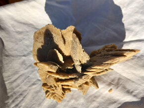 Minerál, nerost, sádrovec - pouštní růže - 7