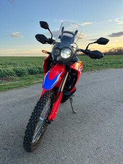 Honda CRF300L Rally, r.v. 2024 - 7
