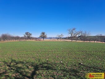 Štěchov, stavební rezerva, 4 979 m2 – pozemek - 7