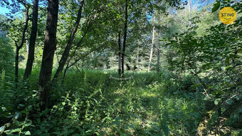 Prodej zahrady a louky 4381 m2 v Horní Datyni , 133068 - 7