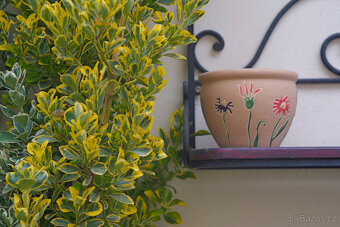 Takumar 105mm, f2,8 - 7