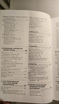 Mikrobiologie - 7