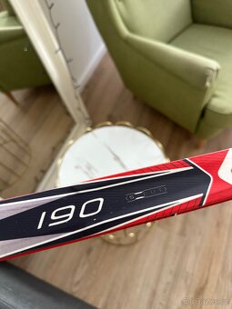 Lyže Salomon escape 6 grip 190 sm - 7