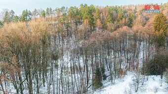 Prodej lesa, 845 m², Mírová pod Kozákovem - 7
