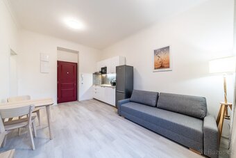 Стильна 2kk квартира в центрі Праги (Žižkov) - 7