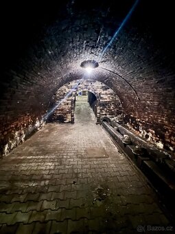 Prodej vinného sklepa - Brod nad Dyjí - 7